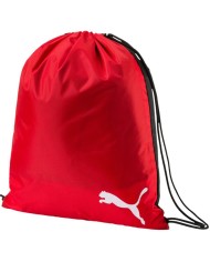 PRO TRAINING II GYM SACK 074899
