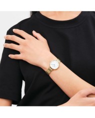 Orologio Daniel Wellington Petite Roman 28 mm DW00100682