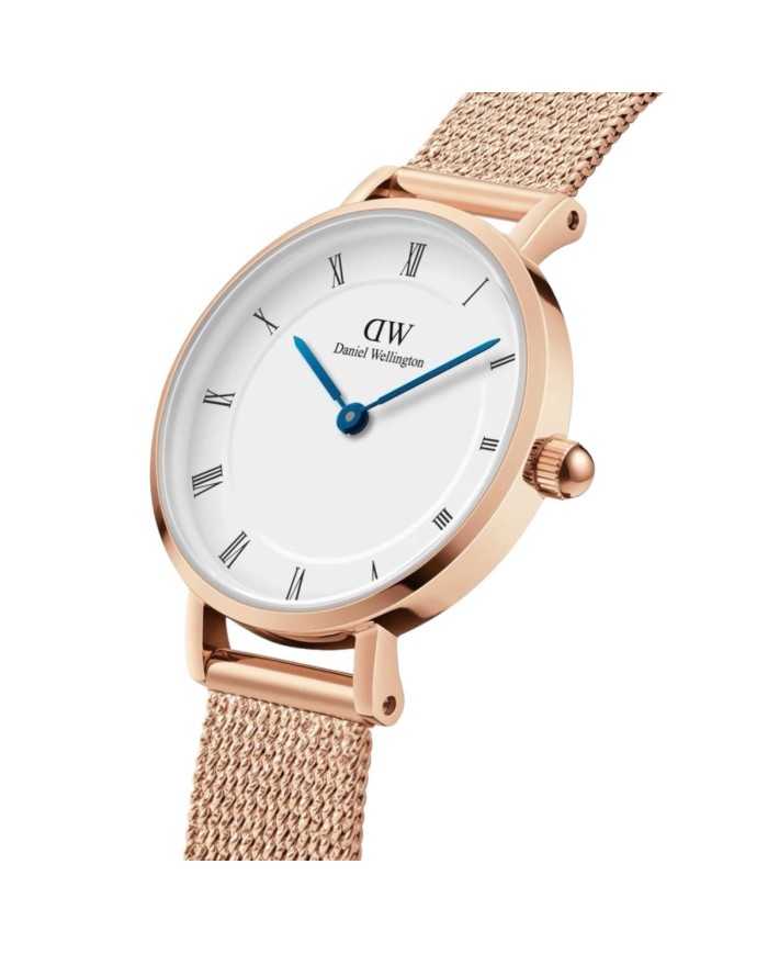 Orologio Daniel Wellington Petite Roman DW00100681