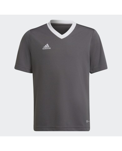 T-shirt Adidas ENT22 H57499 T-shirt Adidas ENT22 H57499