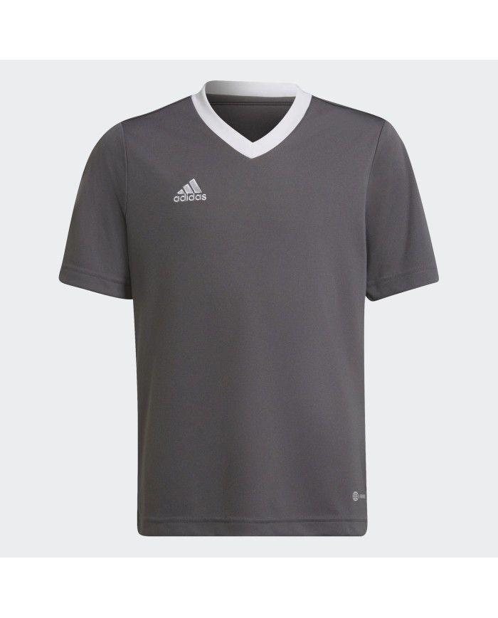 T-shirt Adidas ENT22 H57499