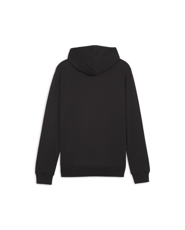 Felpa con cappuccio Puma Teamgoal Casuals 658618-03