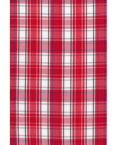 CAMICIA FANTASIA TINTO FILO