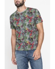 T-SHIRT DI COTONE CON VARIE STAMPE E FANTASIE T-SHIRT DI COTONE CON VARIE STAMPE E FANTASIE