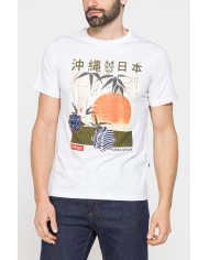 T-SHIRT DI COTONE CON VARIE STAMPE E FANTASIE T-SHIRT DI COTONE CON VARIE STAMPE E FANTASIE