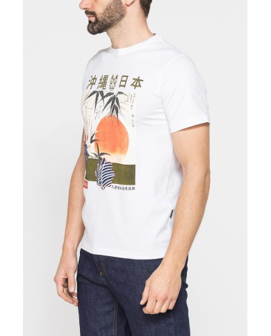 T-SHIRT DI COTONE CON VARIE STAMPE E FANTASIE