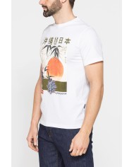 T-SHIRT DI COTONE CON VARIE STAMPE E FANTASIE T-SHIRT DI COTONE CON VARIE STAMPE E FANTASIE
