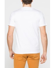 T-SHIRT DI COTONE CON VARIE STAMPE E FANTASIE T-SHIRT DI COTONE CON VARIE STAMPE E FANTASIE