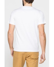 T-SHIRT DI COTONE CON VARIE STAMPE E FANTASIE T-SHIRT DI COTONE CON VARIE STAMPE E FANTASIE