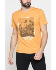 T-SHIRT SCOLLO A V CORTO, CON STAMPA. IN  JERSEY   FIAMMATO DI COTONE