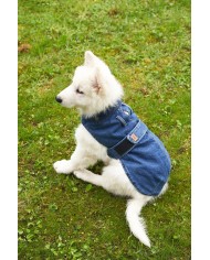 CAPPOTTINO PER CANI TG. MEDIO / PICCOLA IN DENIM E VELLUTO