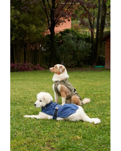 CAPPOTTINO PER CANI TG. MEDIO / PICCOLA IN DENIM E VELLUTO