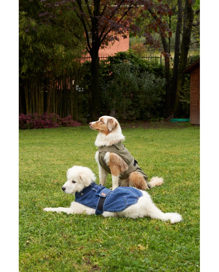 CAPPOTTINO PER CANI TG. MEDIO / PICCOLA IN DENIM E VELLUTO