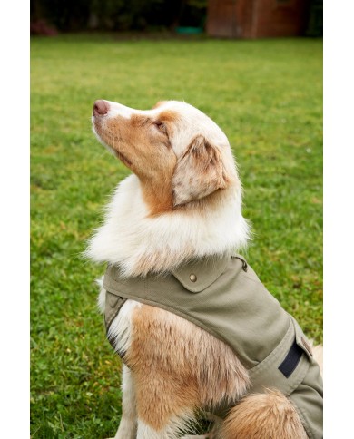 CAPPOTTINO PER CANI COLORATO TG. MEDIO / GRANDE