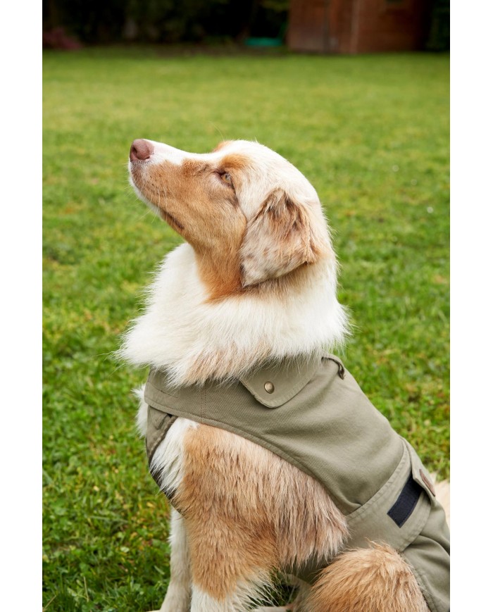 CAPPOTTINO PER CANI COLORATO TG. MEDIO / GRANDE