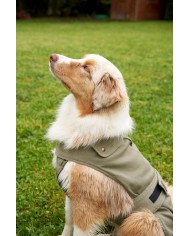 CAPPOTTINO PER CANI COLORATO TG. MEDIO / GRANDE