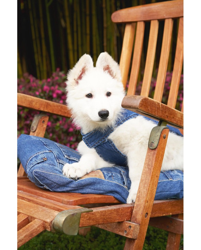 CUSCINO PER CANI SFODERABILE IN DENIM RICICLATO 60 x 40 cm