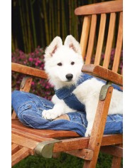 CUSCINO PER CANI SFODERABILE IN DENIM RICICLATO 60 x 40 cm