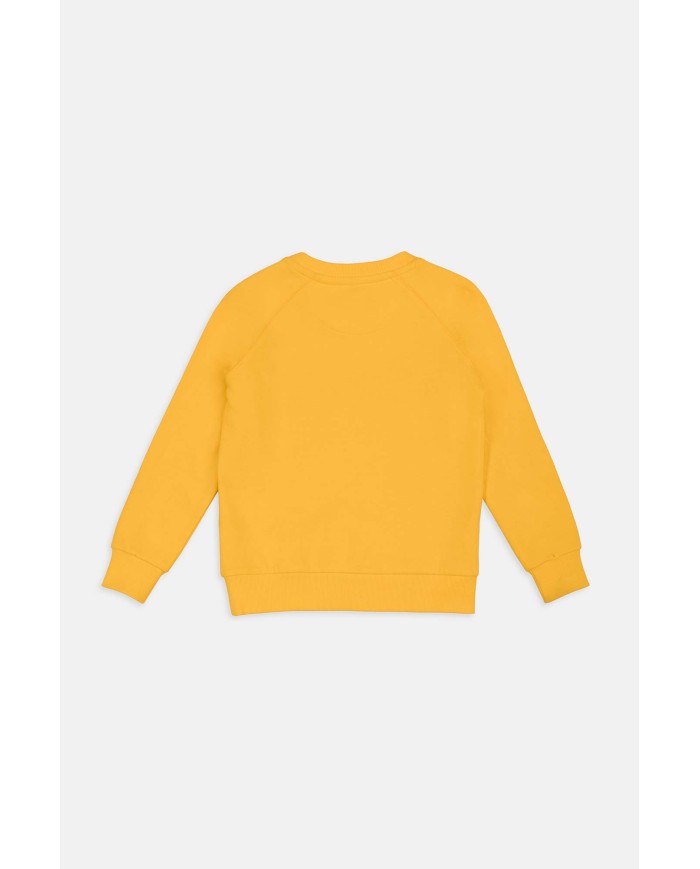 FELPA IN FRANCH TERRY