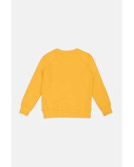 FELPA IN FRANCH TERRY