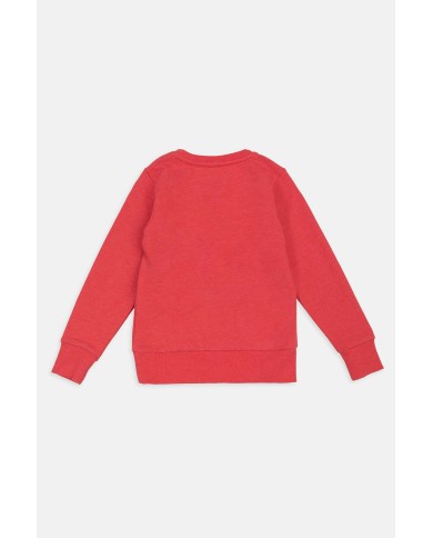 FELPA GIROCOLLO IN COTONE. Vestibilità regolare.