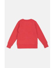 FELPA GIROCOLLO IN COTONE. Vestibilità regolare.