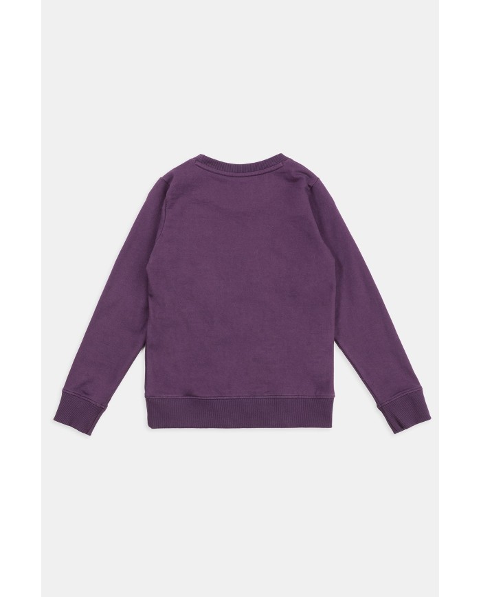 FELPA GIROCOLLO 100% COTONE.