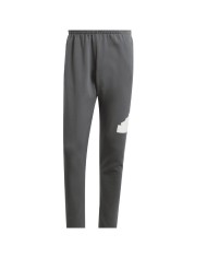 Pantalone Adidas Future Icons Badge of Sport Grigio Adulto IR9177