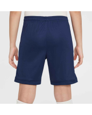 Pantaloncino Nike Academy FZ9784-410