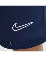 Pantaloncino Nike Academy FZ9784-410