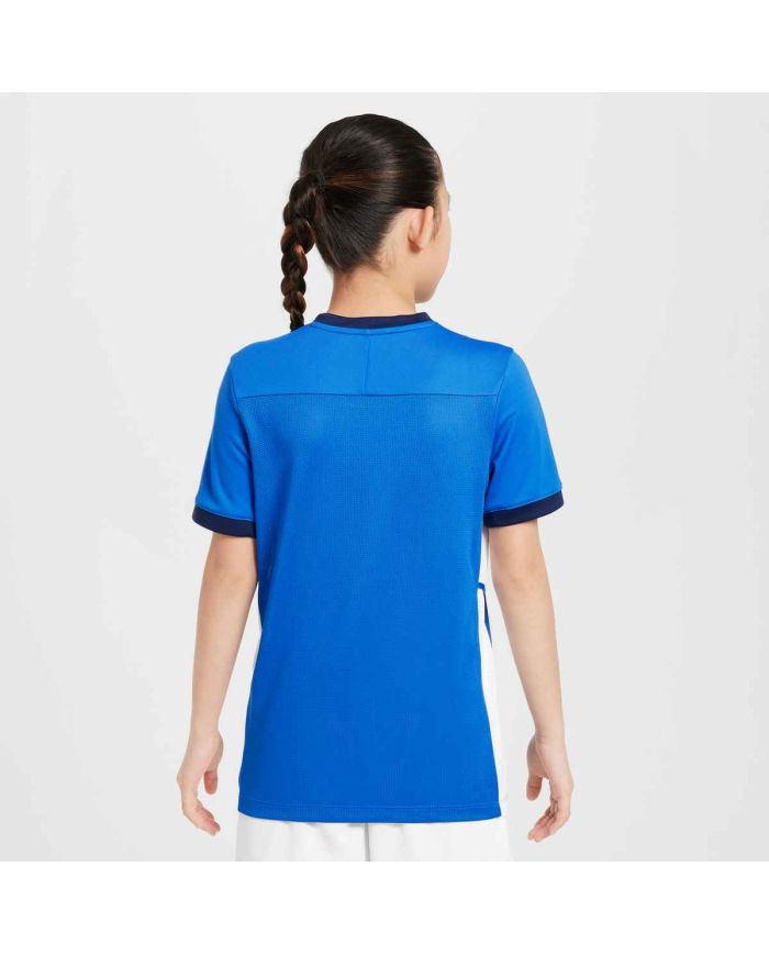 Maglia da calcio Nike Academy FZ9758-463