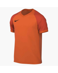 T-shirt Nike Dri-FIT Trophy VI HV8151-819
