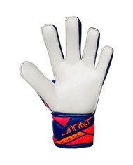 Guanti da Portiere Reusch Attrakt Solid Junior 5672515-4126