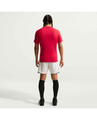 T-shirt Nike Dri-FIT Park VIII HV8173-657